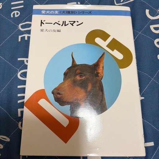 ドーベルマン