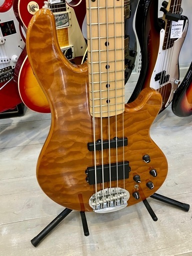 【トレファク京都宇治店】Lakeland(レイクランド)のエレキギター「SL55-94」のご紹介です！