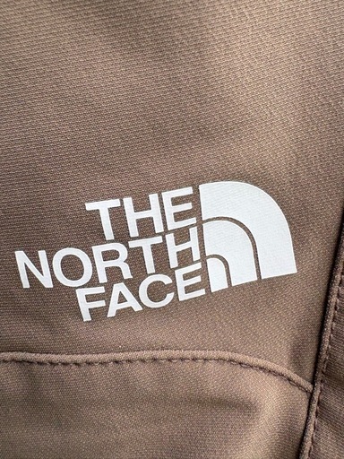 the noth face alpine pants size S