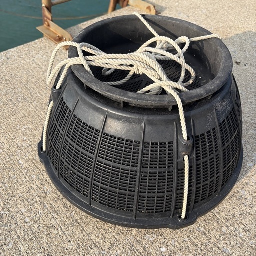 漁具 魚籠 魚捕りカゴ 魚網 漁業用具カゴビク胴丸カゴ (ぞーさん) 古 