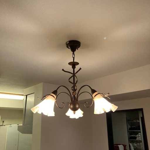 大塚家具　  照明