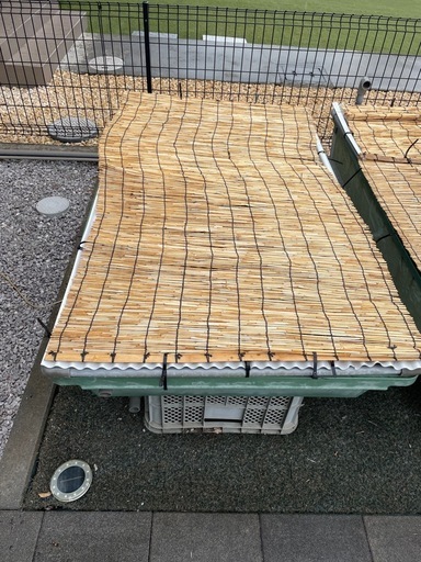 リス興業 プロ用容器 R220 (ぜり) 上福岡のその他の中古あげます・譲り 