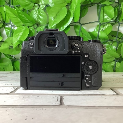 【トレファク寝屋川店】　Panasonic ミラーレスカメラのご紹介です！