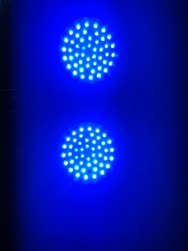 クラマタ　水槽用LEDライト　ブルー