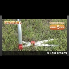 立ち作業用草刈りバサミ  折りたたみ式 の画像