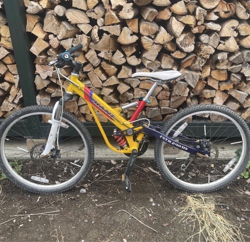 GIANT 24インチダウンヒル  MTB
