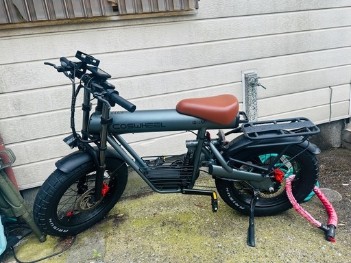 COSWHEEL MIRAI電動アシスト自転車 本体