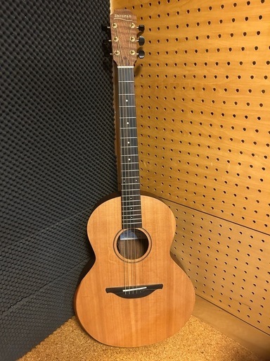 エレアコ ギター　エドシーランbyローデン　s-02 