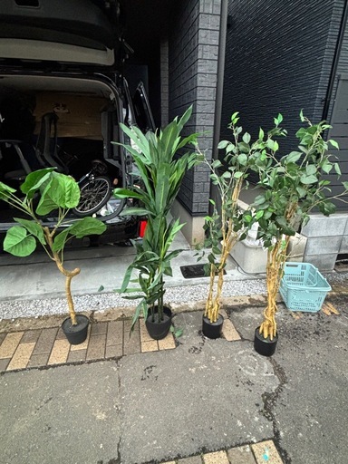 人口観葉植物/大型フェイスグリーン