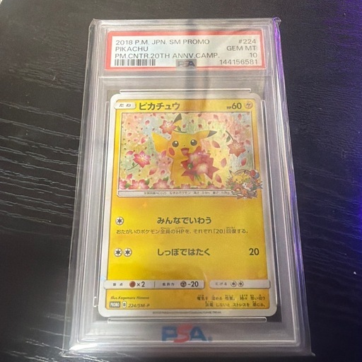 【本日までこの価格】ピカチュウ sm-p 224