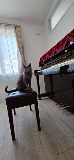 【体験レッスン受付中】常盤でピアノ教室をはじめました♪初心者・シニア・お子様大歓迎！