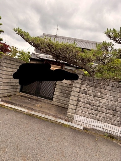 庭木、石