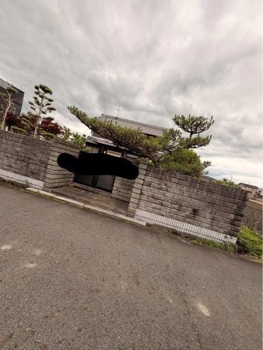 庭木、石
