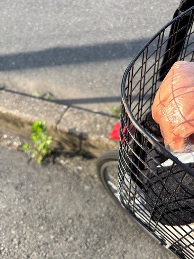 子供乗せ電動自転車の選び方ガイド＆おすすめ11選 | おしゃれ＆人気 子供乗せ付ギア付自転車