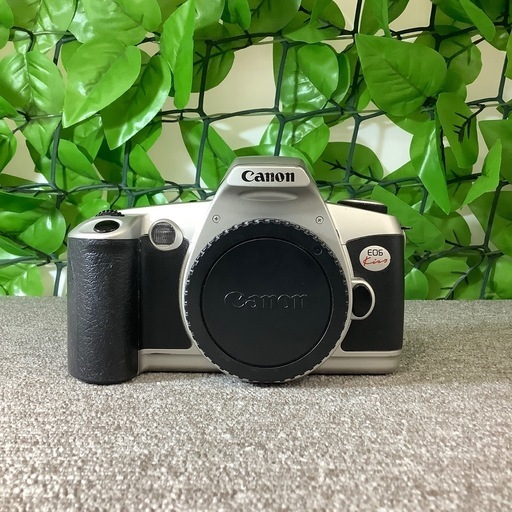 トレファク寝屋川店】Canon フィルム一眼レフカメラのご紹介です 