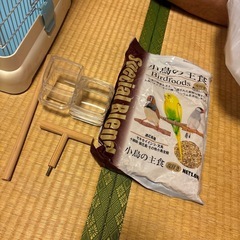 インコゲージ バードケージ 備品付き 止まり木・エサ入れ・水入れ付き 鳥かごの画像