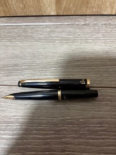 廃盤PILOT万年筆エリート95S
