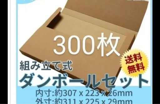 ネコポスダンボール　A4サイズ