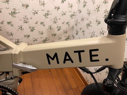 MATE X  