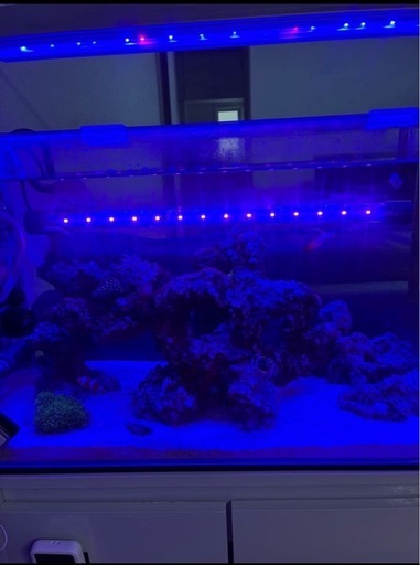 60cm水槽セット
