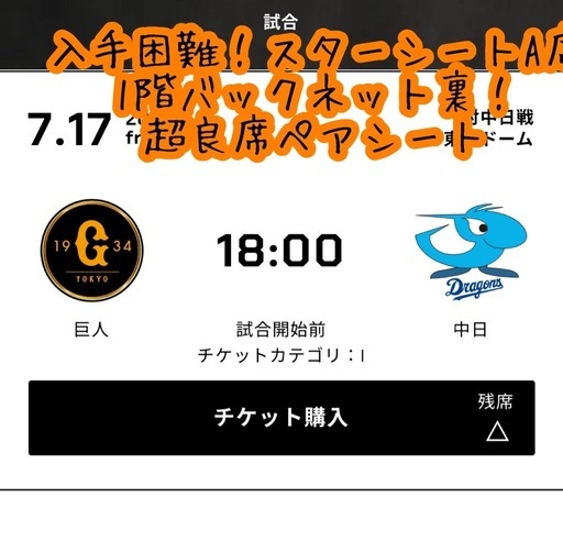 最終価格】7月17日東京ドーム 巨人vs中日スターシートAペア良席 
