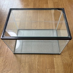 【お取引日時の早い方優先】水槽・スタンドセットの画像
