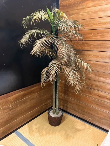 【お洒落✨】フェイクグリーン?‬カフェ、BARなどに?* :ﾟ