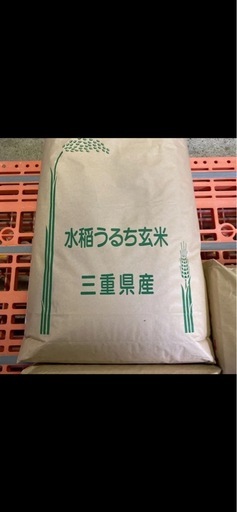 令和7年産コシヒカリ 美杉清流米