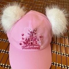 58センチ　ディズニー「Minnie’s Funderland（...