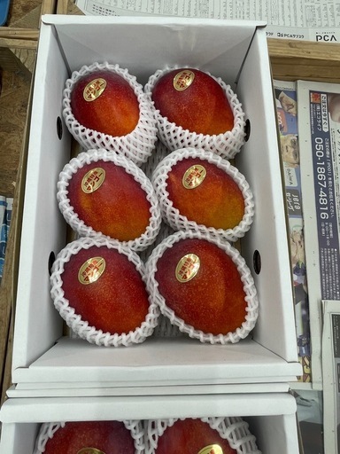 2キロマンゴー贈答品本日受け取り5000円?