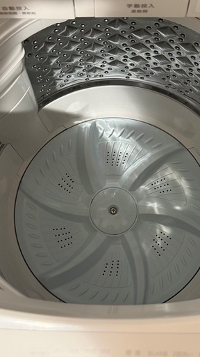 
東芝 8kg 洗濯機 ZABOON 自動投入付（2023年製）動作確認済・美品