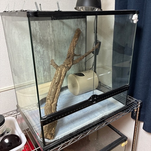 爬虫類飼育設備一式　ガラスケージ