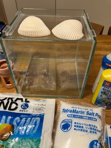 熱帯魚水槽セット