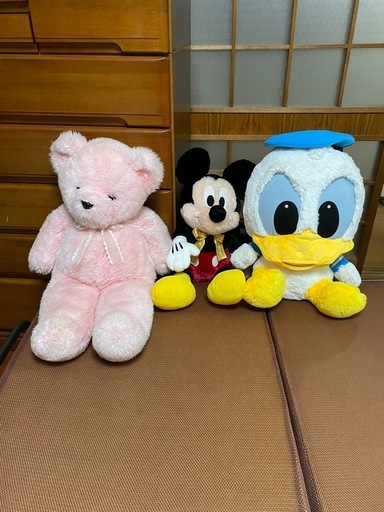 飾っていたぬいぐるみ3点【今では中古】 (サボテン) 水前寺のその他の 