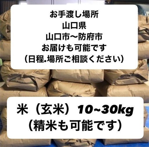 令和7年度 米 きぬむすめ 玄米 10~30kg Amazon.co.jp: 米 きぬむすめ □玄米10kg+白米9kg 島根県雲南産 石原 
