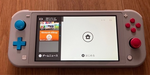 Nintendo Switch Lite ザシアン・ザマゼンタ　ソフト付