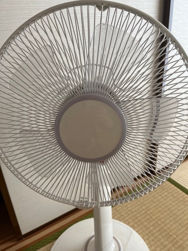 扇風機Panasonic (kyeeeee) 久米川の季節、空調家電《扇風機》の中古 