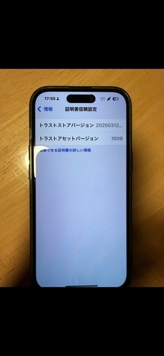 iPhone15 256G ブラック 花口さんも認めたアイホン
