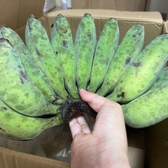 アップルバナナ