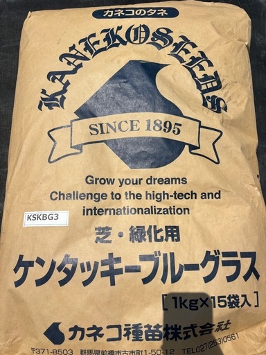 ケンタッキーブルーグラス