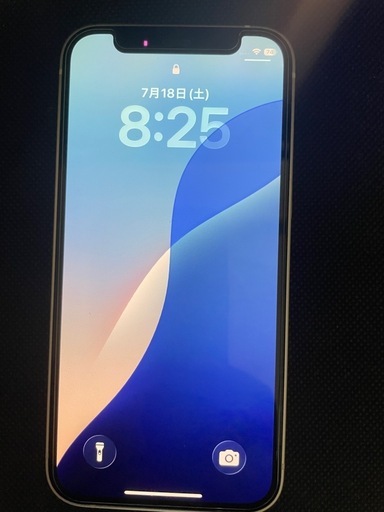 Apple iPhone12mini 256g本体のみ値下げ可能早期お取引優先 (零戦