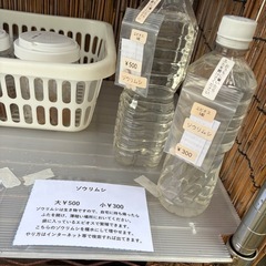 メダカ　
スーパーラメ　オロチ 等の画像