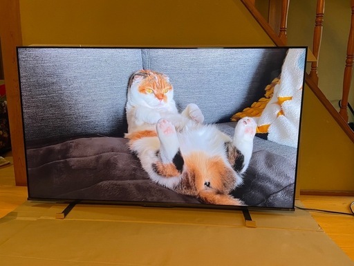 【美品】TOSHIBA REGZA 65Z570K  2022年製 65V型4K液晶テレビ