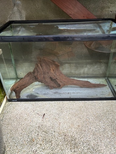 流木　アク抜き　沈みます