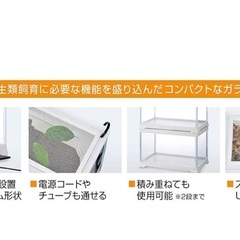 爬虫類用ケージ(レプテリアホワイト300low)1個の画像