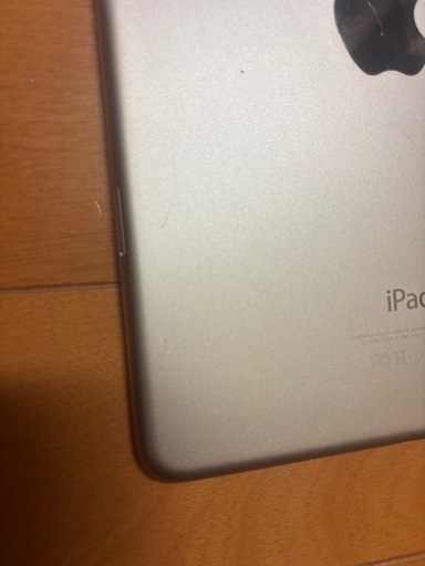 iPad mini4