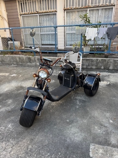 3輪バイク　電気　早い方優先