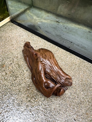 流木４個セット　アク抜き　沈みます