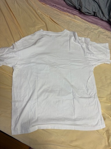 追記:supreme×ノースフェイス　Tシャツ