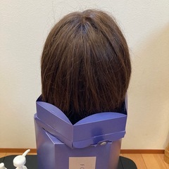 ウィッグの画像